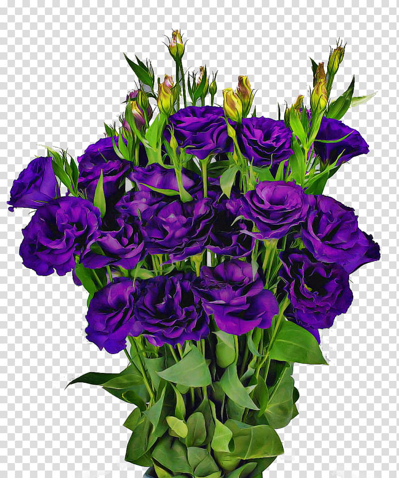Floral Flower, Garden Roses, Cut Flowers, Floral Design, Flower Bouquet, Annual Plant, Purple, Herbaceous Plant transparent background PNG clipart
