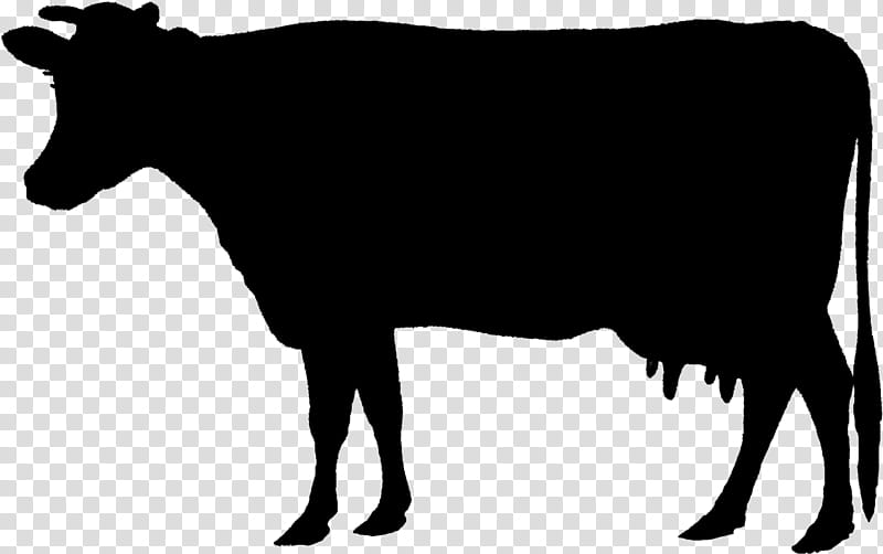bovine cow-goat family live bull snout, Cowgoat Family, Live, Silhouette, Line Art transparent background PNG clipart