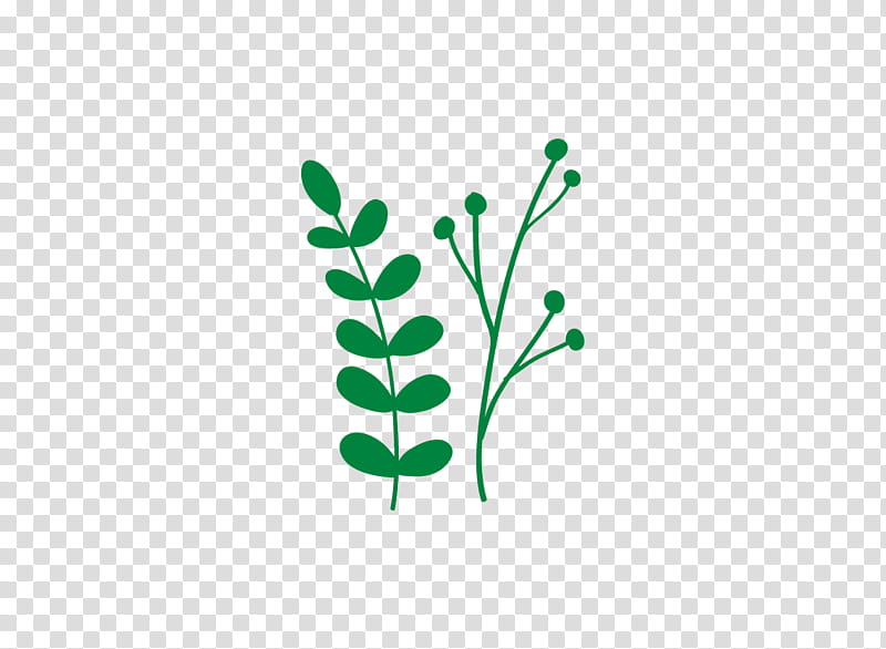 Green Leaf Logo, Plant Stem, Computer, Branching, Flower, Grass, Pedicel transparent background PNG clipart