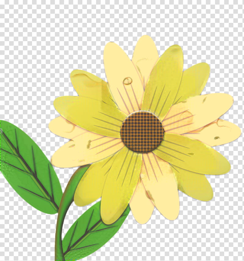 African Family, Chrysanthemum, Yellow, Sunflower, Petal, Plant, Blackeyed Susan, Leaf transparent background PNG clipart