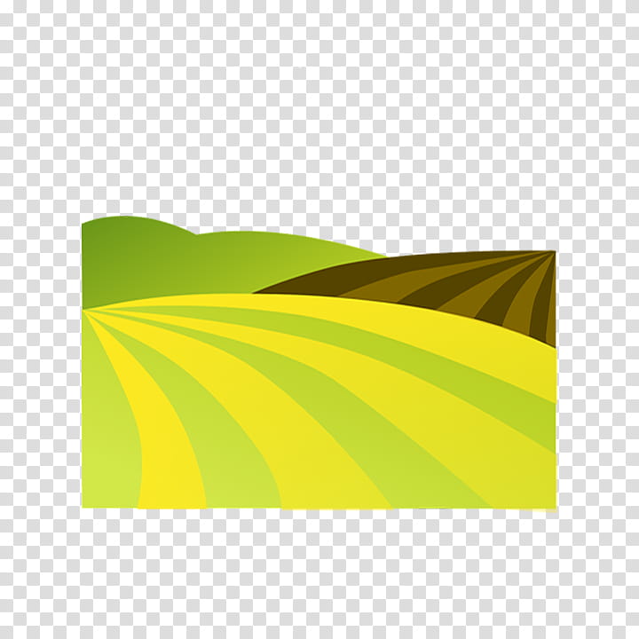 Banana leaf, Green, Yellow, Line, Rectangle, Plant, Grass, Landscape transparent background PNG clipart