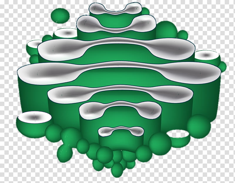 Green Leaf, Golgi Apparatus, Cell, Diagram, Endoplasmic Reticulum, Cisterna, Vesicle, Mitochondrion transparent background PNG clipart