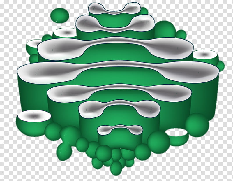 endoplasmic reticulum clipart