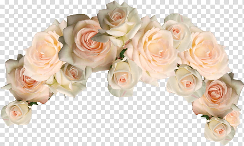 Pink Flowers, Crown, Rose, Floral Design, Wreath, Cut Flowers, Garden Roses, Headband transparent background PNG clipart