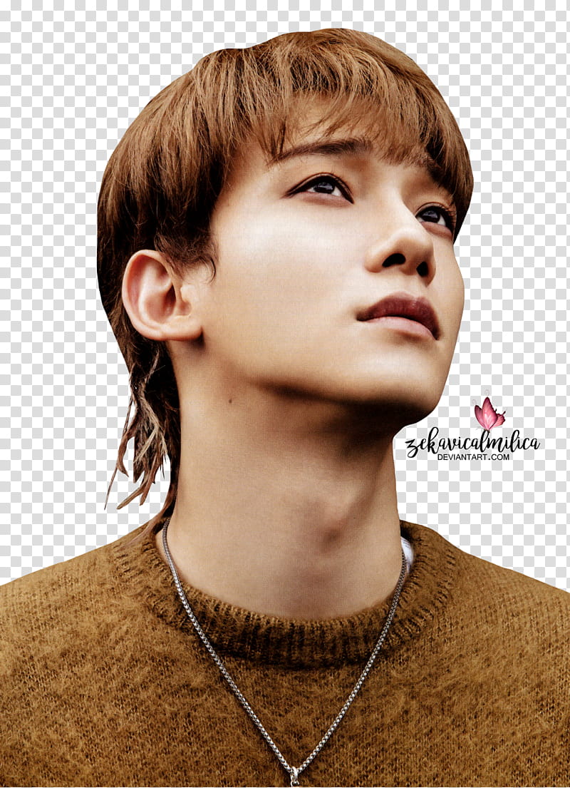 EXO Chen Don t Mess Up My Tempo transparent background PNG clipart