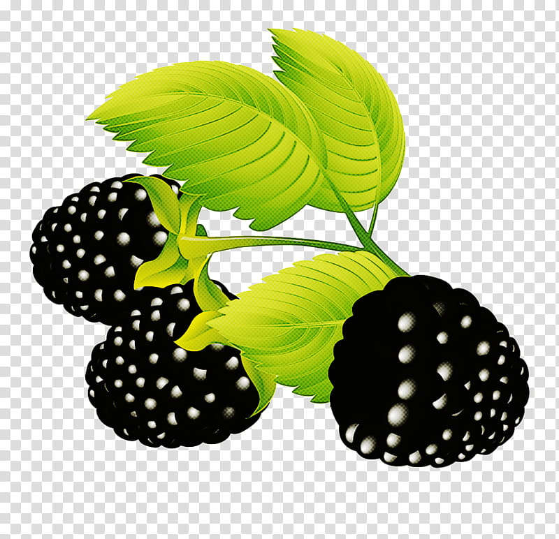 blackberry berry green leaf plant, Fruit, Rubus, Frutti Di Bosco, Accessory Fruit transparent background PNG clipart