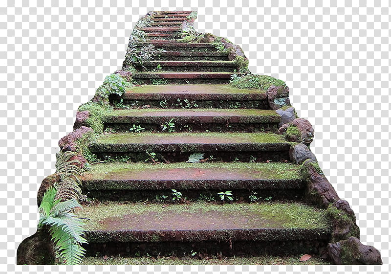 a walk in nature, brown and green stone stairs transparent background PNG clipart