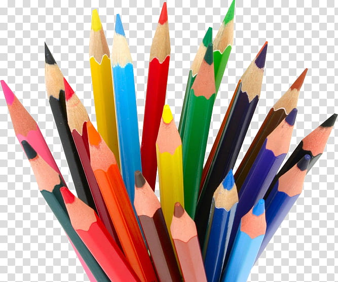 Free: Colored pencil Eraser , Colored pencils transparent background PNG  clipart 