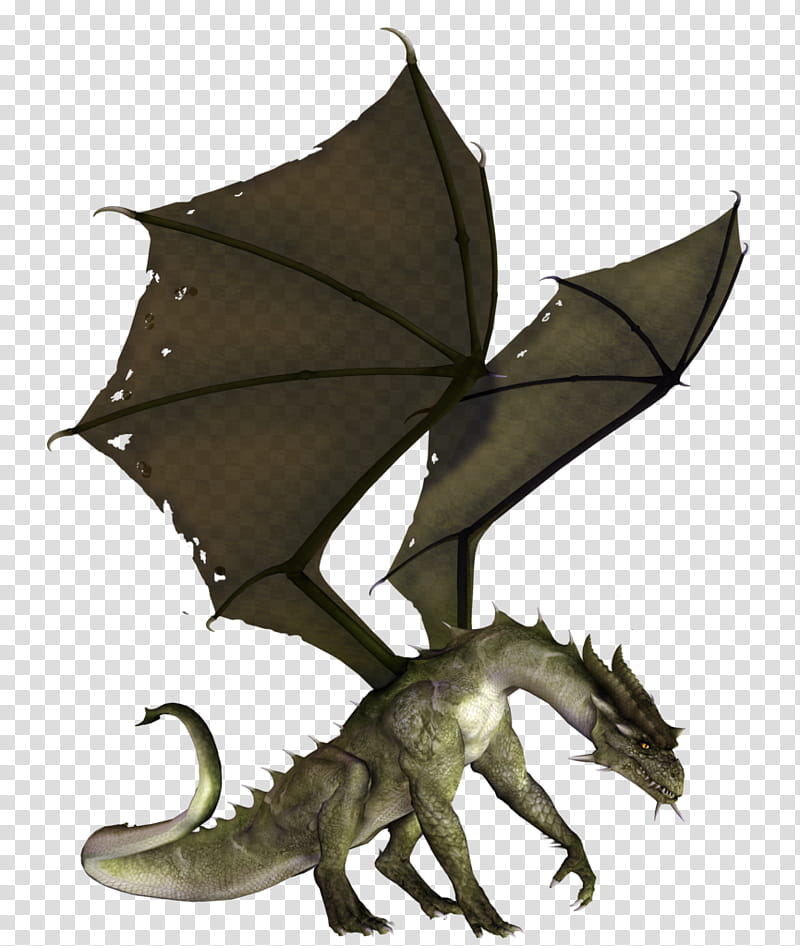 Pterodactyl Flying Dragon Illustration PNG Images