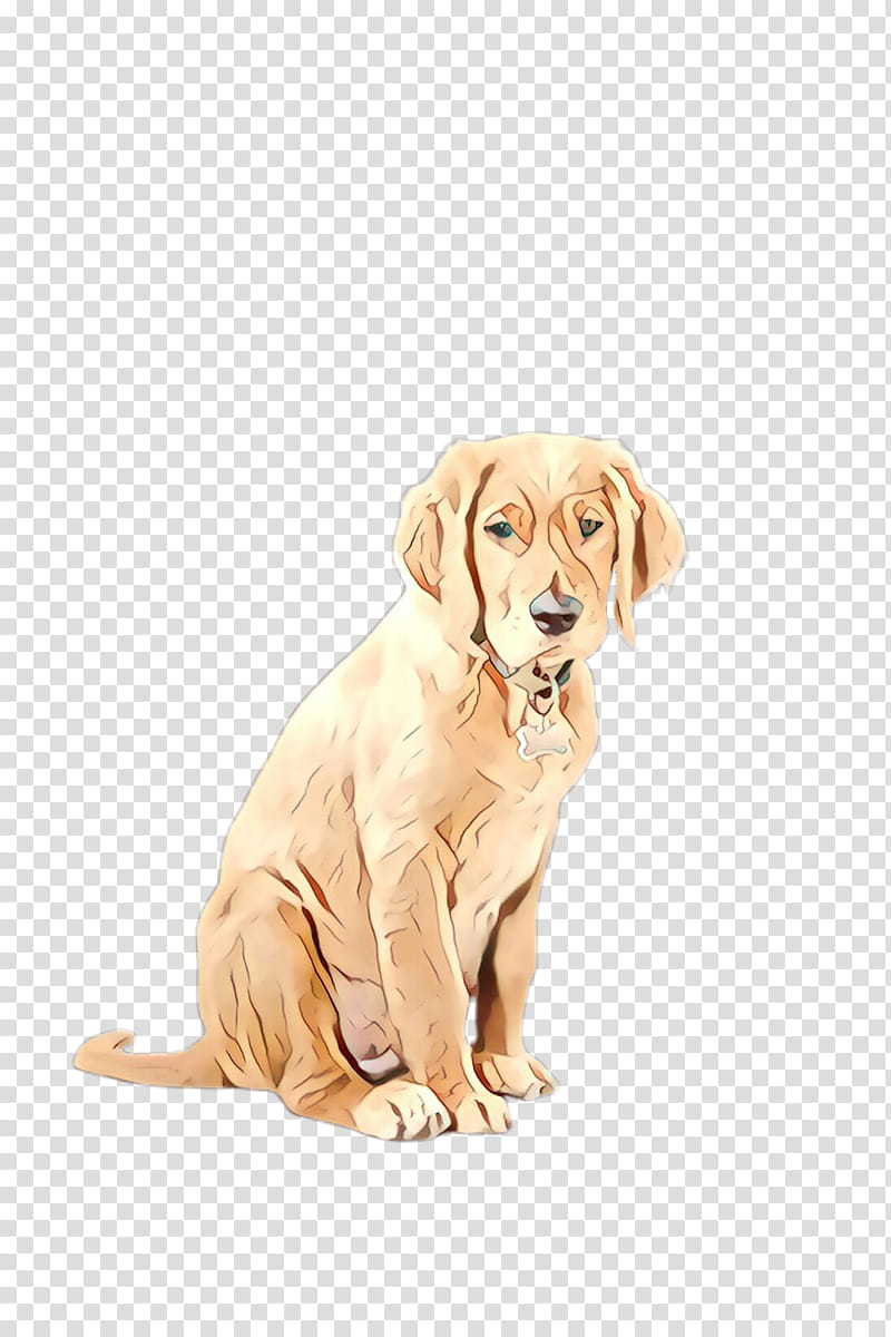 yellow lab dog clipart no background