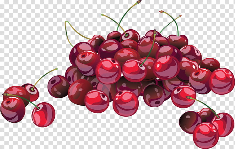 cherry fruit red plant food, Berry, Superfood, Superfruit, Cranberry, Tree transparent background PNG clipart