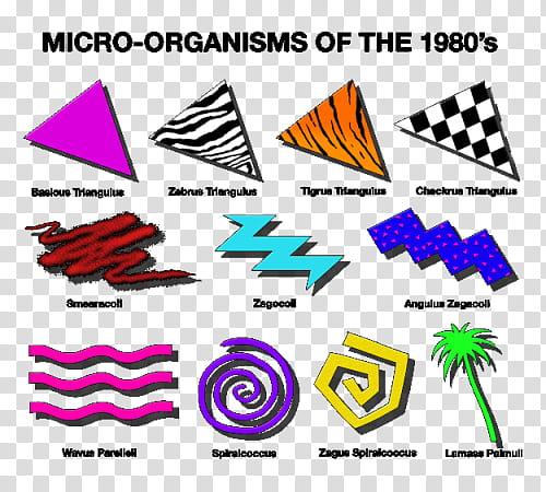 micro organisms of the 's chart transparent background PNG clipart