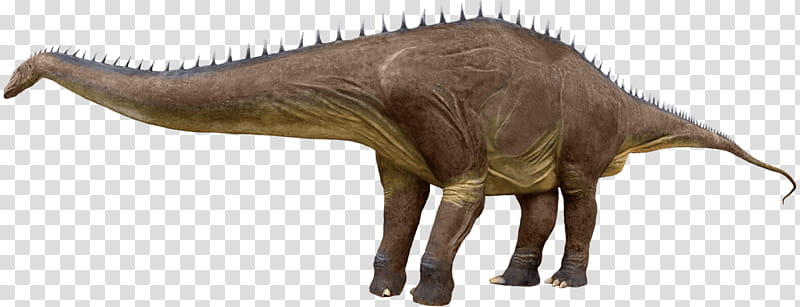 Jurassic Park, Tyrannosaurus, Argentinosaurus, Moab Giants, Giganotosaurus, Brachiosaurus, Dinosaur, Apatosaurus transparent background PNG clipart
