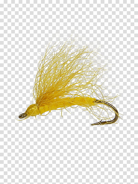 Fishing, Snowshoe West Virginia, Snowshoe Drive, Holly Flies, Precision Fly Fishing, Email, Yellow, Orange transparent background PNG clipart