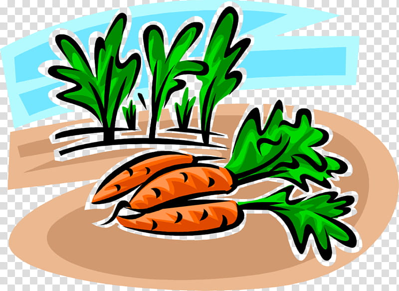 Carrot, Vegetable, Fruit, Commodity, Tree, Plant transparent background PNG clipart