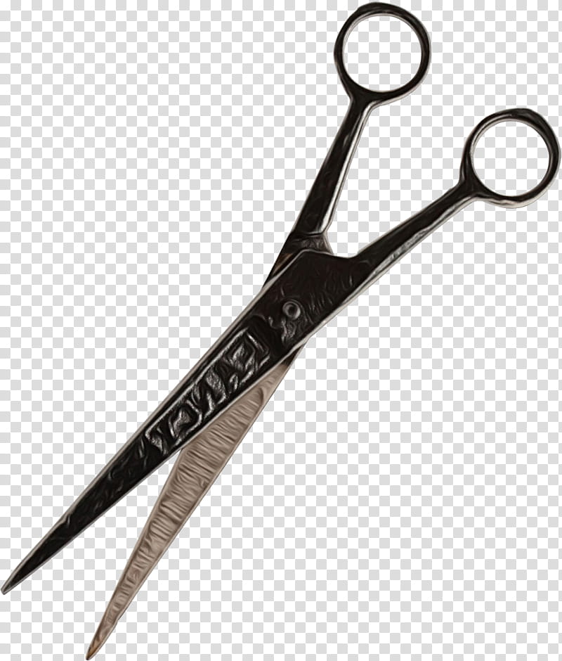 Hair, Scissors, Nipper, Cutting Tool, Hair Shear, Surgical Instrument, Hair Care, Office Instrument transparent background PNG clipart