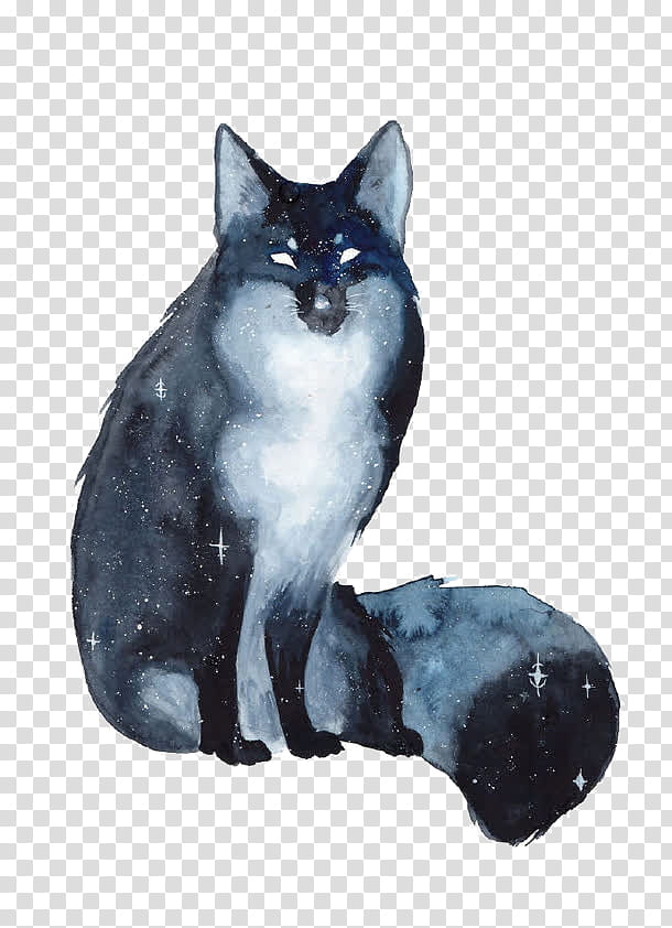 Star Drawing, Watercolor Painting, Fox, Artist, Animal, Galaxy, Ink Wash Painting, Cat transparent background PNG clipart