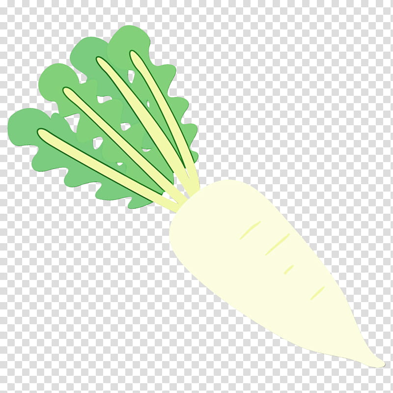 leaf green vegetable daikon plant, Watercolor, Paint, Wet Ink, Leaf Vegetable, Monstera Deliciosa, Vegetarian Food, Herb transparent background PNG clipart