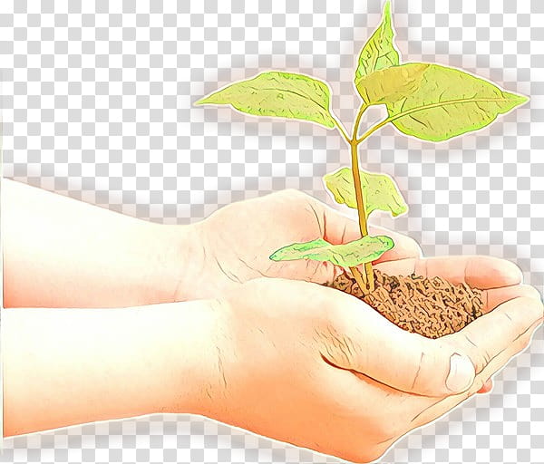 hand leaf plant tree soil, Flower, Plant Stem, Flowerpot transparent background PNG clipart
