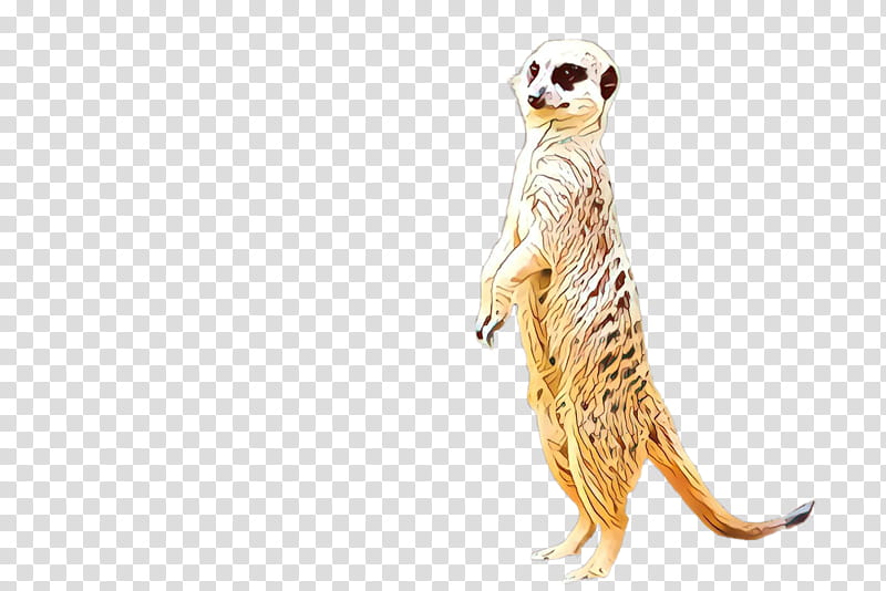 meerkat mongoose tail wildlife transparent background PNG clipart