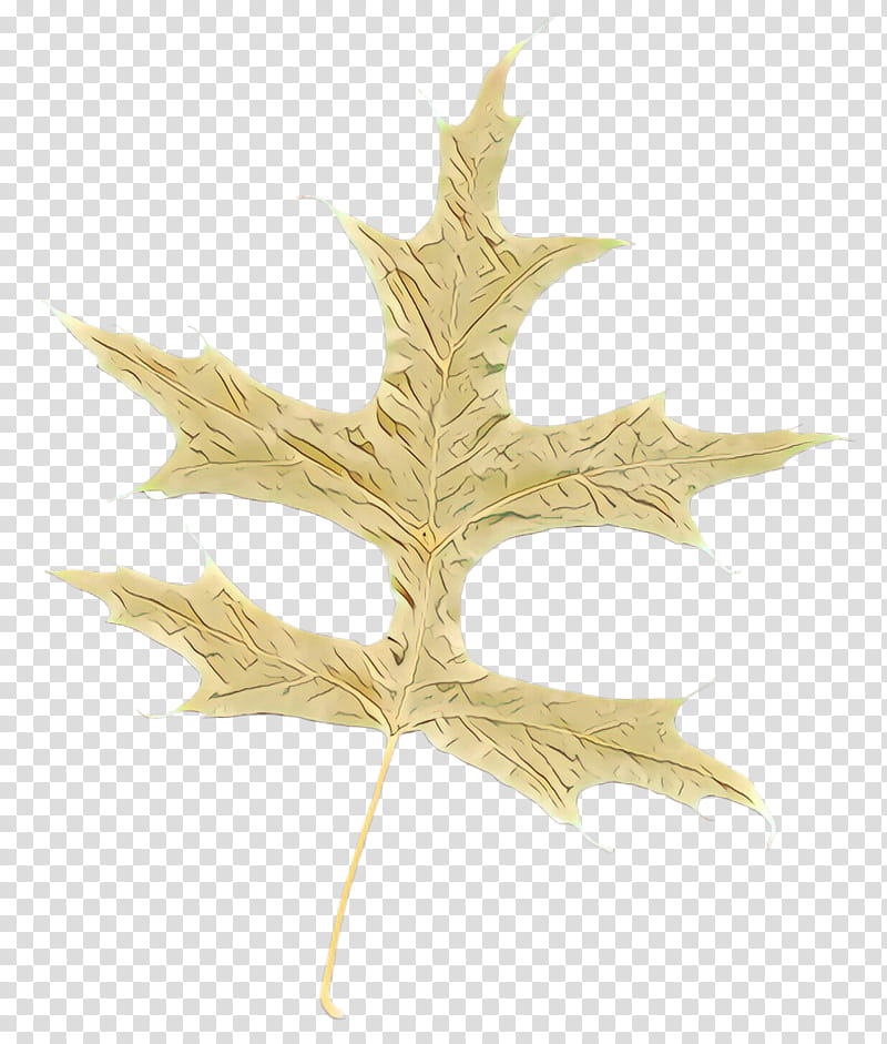 Maple leaf, Cartoon, Tree, Plant, Plane, Metal transparent background PNG clipart