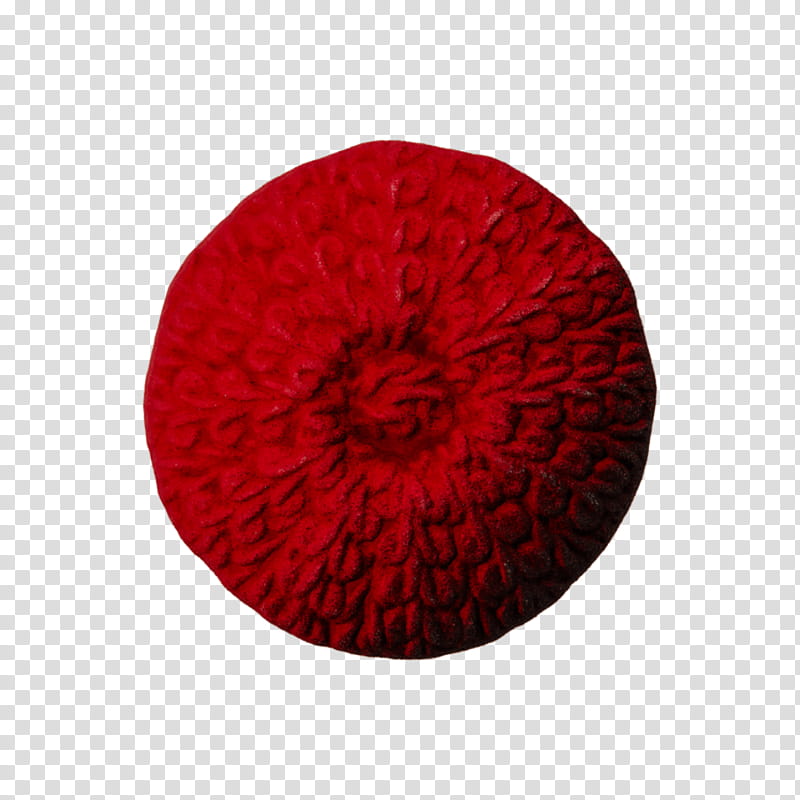 Red Flower, Coquelicot, Petal, Wool, Circle, Carmine, Fur, Furniture transparent background PNG clipart