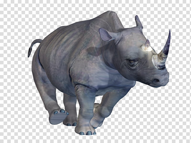 Rhino , gray rhino transparent background PNG clipart