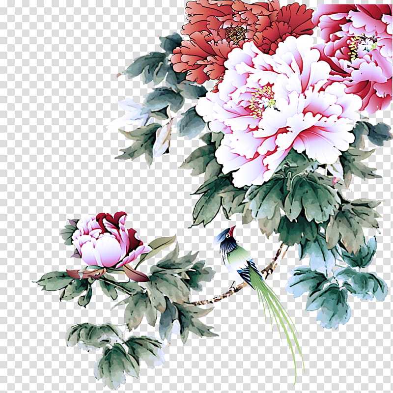 flower flowering plant plant common peony cut flowers, Pink, Petal, Chinese Peony, Bouquet transparent background PNG clipart