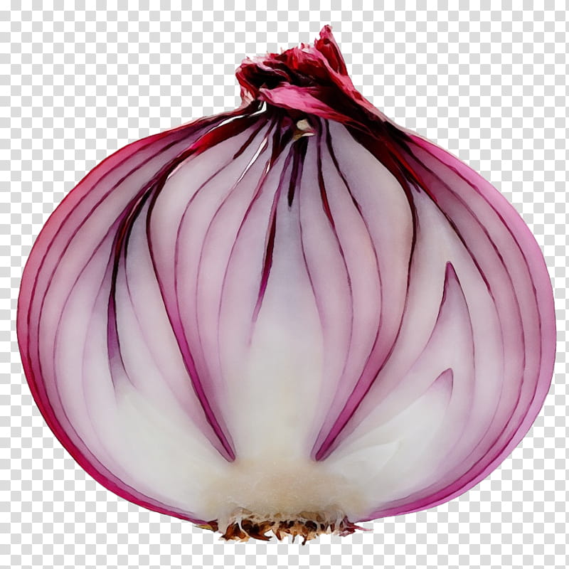Onion, Shallots, Vegetable, Yellow Onion, Red Onion, Vinaigrette, White Onion, Chinese Onion transparent background PNG clipart