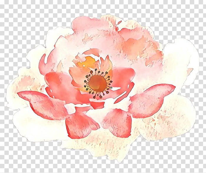 Watercolor Pink Flowers, Floral Design, Paper, Rose Family, Kusudama, Origami, Cut Flowers, Petal transparent background PNG clipart