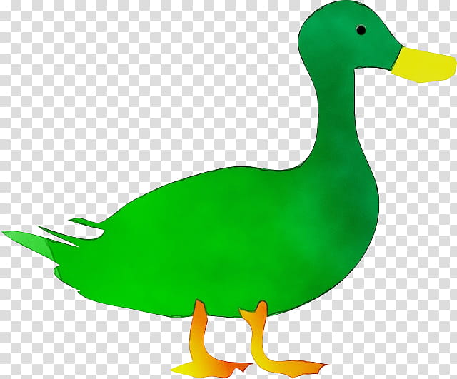 duck bird mallard ducks, geese and swans water bird, Watercolor, Paint, Wet Ink, Ducks Geese And Swans, Beak, Waterfowl, Goose transparent background PNG clipart