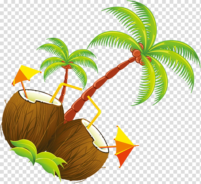 Coconut Tree, Cartoon, Animation, Drink, Palm Trees, Leaf, Arecales, Plant transparent background PNG clipart