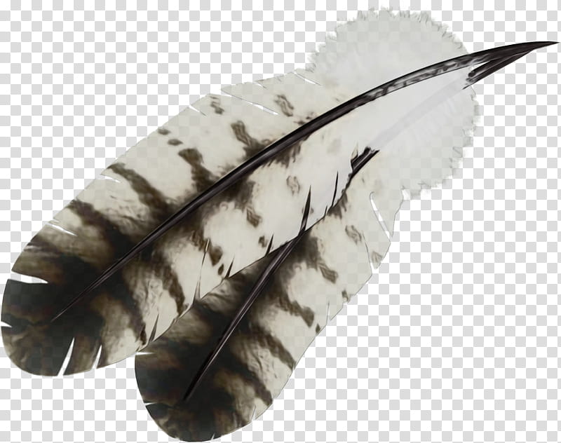 Eagle, Feather, White, White Feather, Feather, Eagle Feather Law, cdr, Leaf transparent background PNG clipart