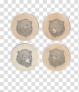 Indie , bear illustration transparent background PNG clipart