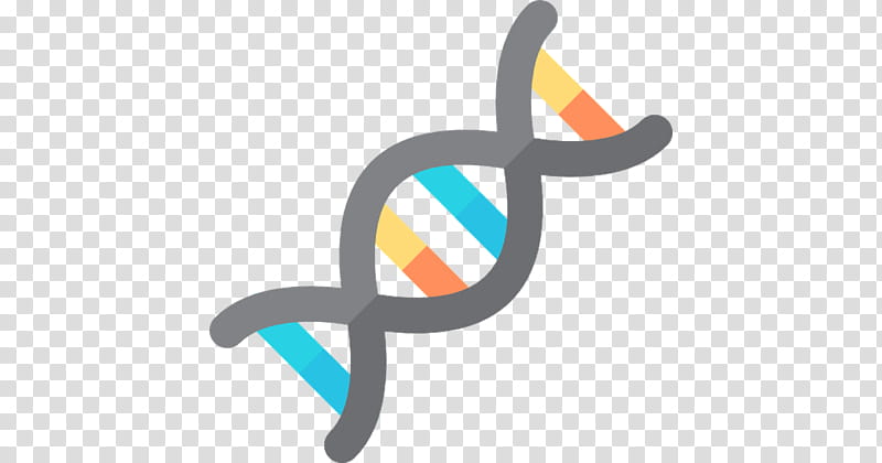 Double Helix, Nucleic Acid Double Helix, Dna, Chemistry, Molecular Models Of Dna, Science, Nucleic Acid Structure, Adna transparent background PNG clipart