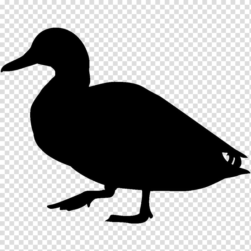 Birds Silhouette, Duck, Mallard, Cornell Lab Of Ornithology, Drawing, All About Birds, Beak, Water Bird transparent background PNG clipart