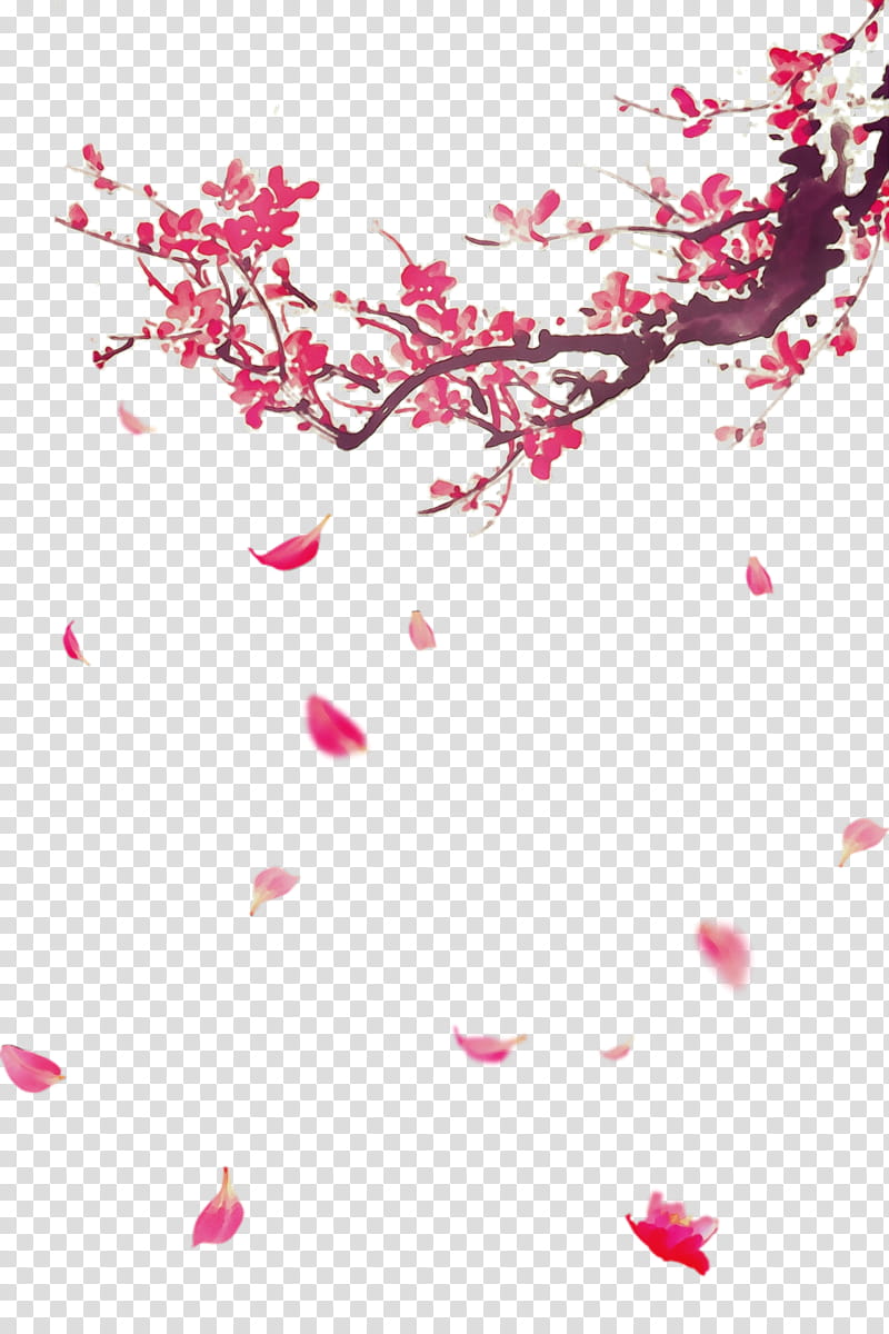 Cherry blossom, Watercolor, Paint, Wet Ink, Pink, Branch, Flower, Petal transparent background PNG clipart