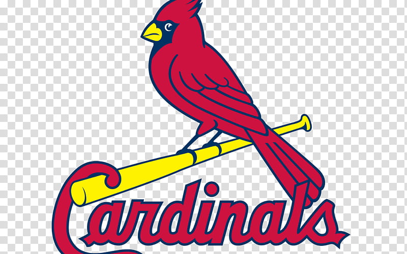 Bird Line Art, St Louis Cardinals, Palm Beach Cardinals, Logo, Logos And Uniforms Of The St Louis Cardinals, Mlb, Sports In Missouri, Wikipedia Logo transparent background PNG clipart