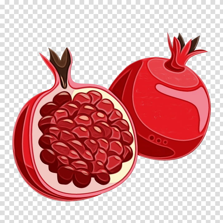 pomegranate red fruit food plant, Watercolor, Paint, Wet Ink, Superfruit, Superfood transparent background PNG clipart