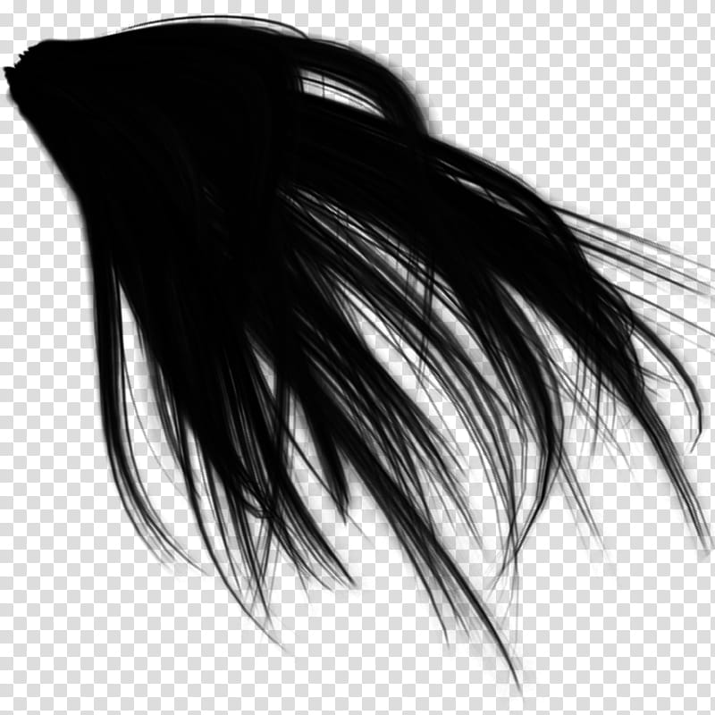 Basic Hair, black hair illustration transparent background PNG clipart