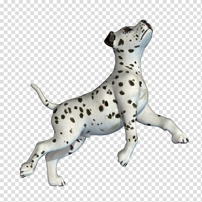 Dog And Puppy , Dalmatian puppy transparent background PNG clipart