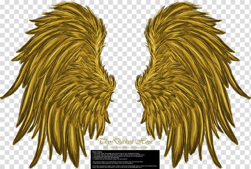 Frill and Fluff Wings Golden transparent background PNG clipart