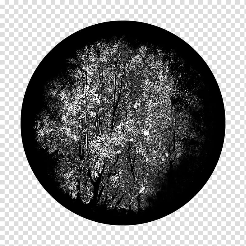 branch black black-and-white plate tree, Blackandwhite, Dishware, Still Life transparent background PNG clipart