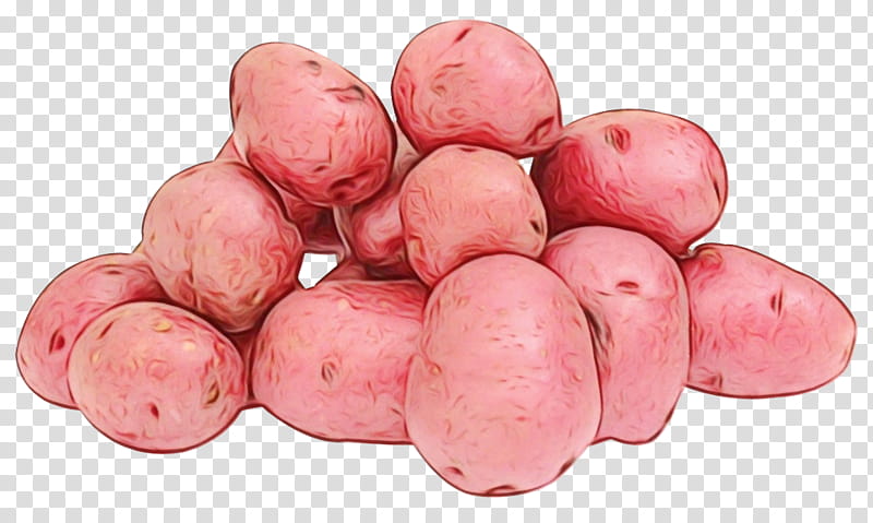 tuber pink food ullucus root vegetable, Watercolor, Paint, Wet Ink, Potato, Plant, Rocky Mountain Oysters transparent background PNG clipart