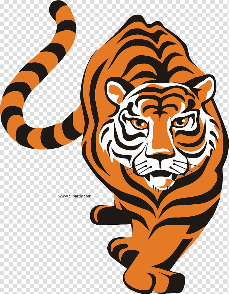 Tv, Logo, Bengal Tiger, Drawing, Cartoon, Head, Wildlife, Animal Figure  transparent background PNG clipart | HiClipart