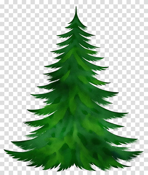 Christmas tree, Watercolor, Paint, Wet Ink, Yellow Fir, Shortleaf Black Spruce, Oregon Pine, Colorado Spruce transparent background PNG clipart
