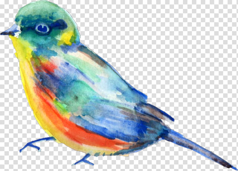 bird beak mountain bluebird bluebird songbird, Painted Bunting, Perching Bird, Eastern Bluebird, Finch, Watercolor Paint transparent background PNG clipart