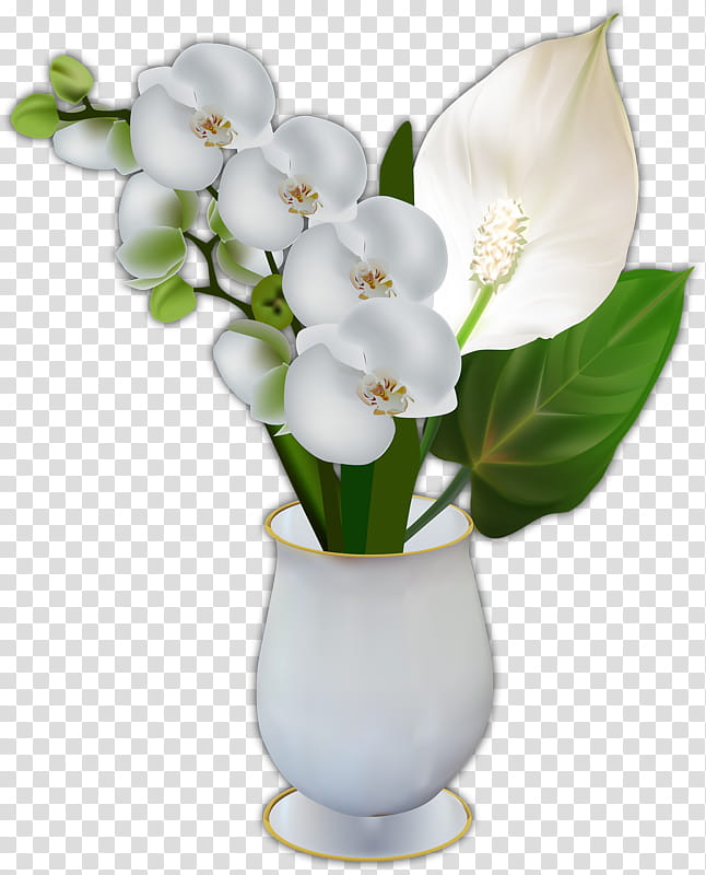 Flowers In Vase, Floral Design, White Vase, Vase Ard Time, Plant, Flowerpot, Cut Flowers, Moth Orchid transparent background PNG clipart
