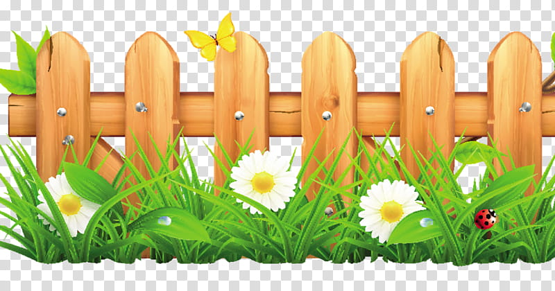 Fence, Garden, Backyard, Fence Pickets, Lawn, Grass, Plant, Mayweed transparent background PNG clipart