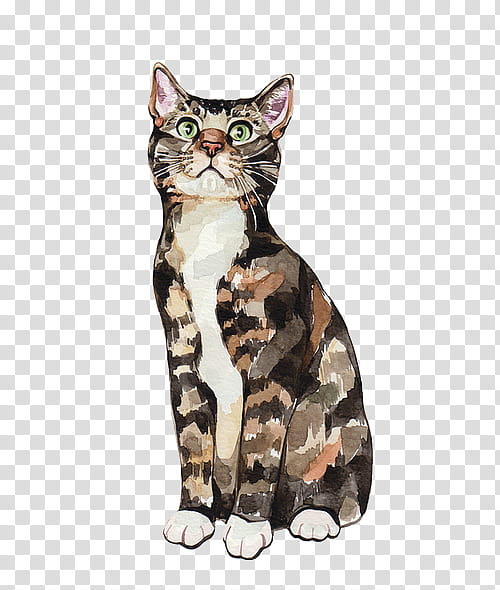 s, calico cat transparent background PNG clipart